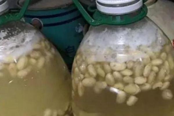 黄豆沤肥的做法，可以用于什么作物
