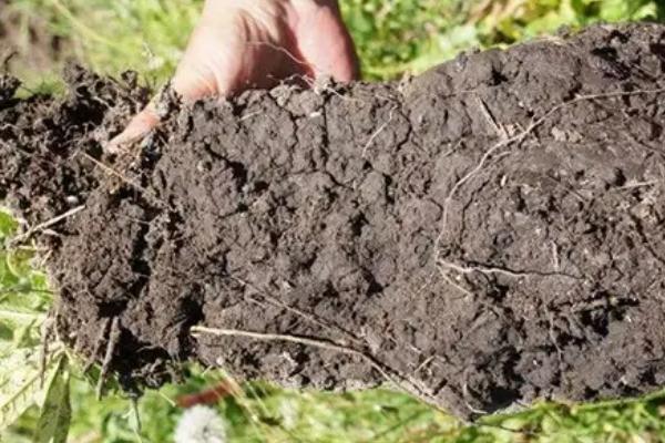 除草剂对土壤的危害有哪些方面，除草剂的残留期有多长
