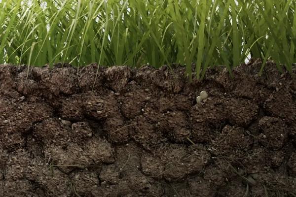土壤活化剂可以替代肥料吗，土壤活化剂的使用方法