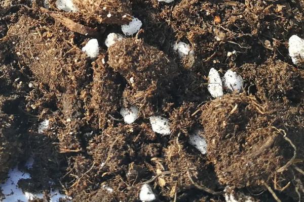 基质土的配制方法，基质土和营养土的区别