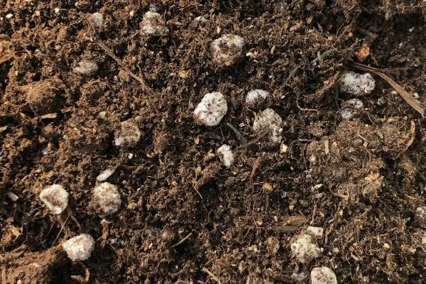 基质土的配制方法，基质土和营养土的区别