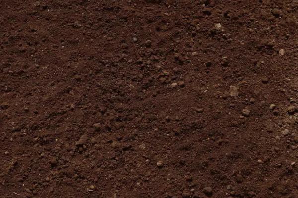 哪种氮肥最易引起土壤板结，土壤板结如何快速改良