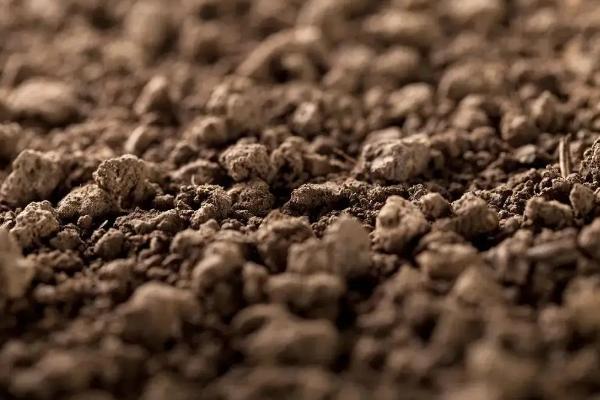 怎样判断土壤中含有腐殖质，腐殖质是如何形成的