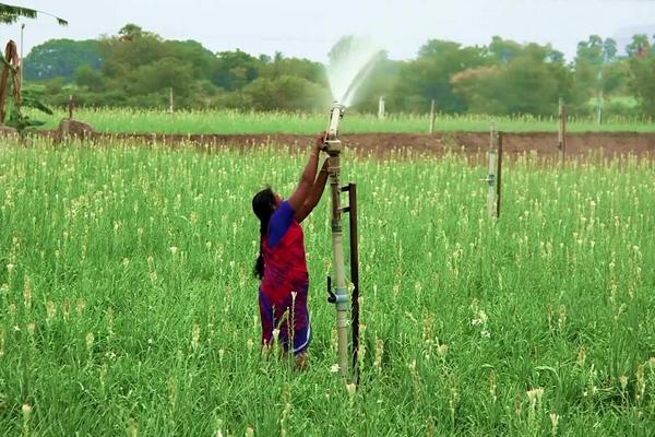 印度发展农业的有利条件和不利条件