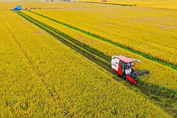 大田种植业的特色是什么，现代农业的三大体系