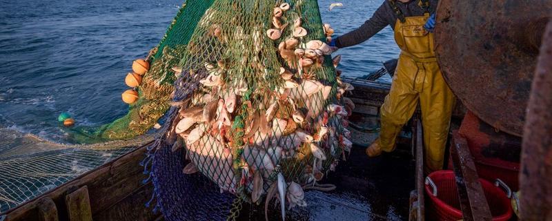 我国近海捕捞过程中出现渔获量降低鱼个体小等现象的主要原因是