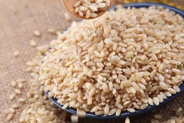 水稻主要成分是淀粉吗