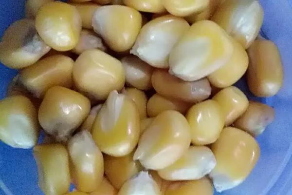 玉米增产8法