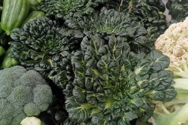 温室种植蔬菜方法