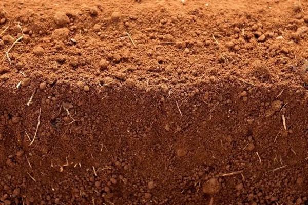 土壤活化剂可以替代肥料吗，土壤活化剂的使用方法