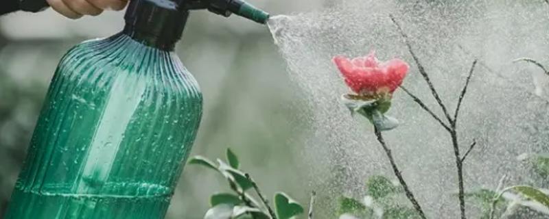 氮肥可以兑水浇花吗