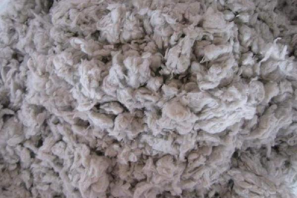 棉花的种类