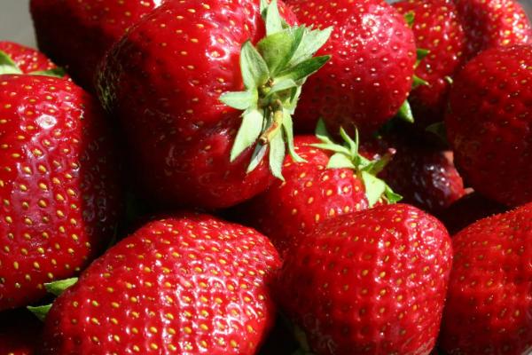 氮肥对草莓的作用