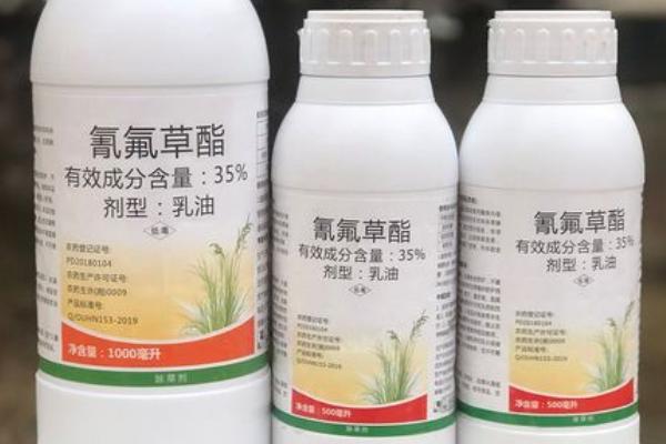 氰氟草酯对水稻幼苗危害吗