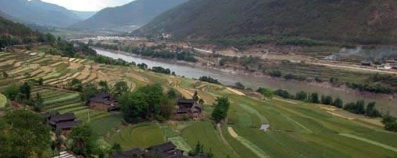 青藏地区发展什么农业